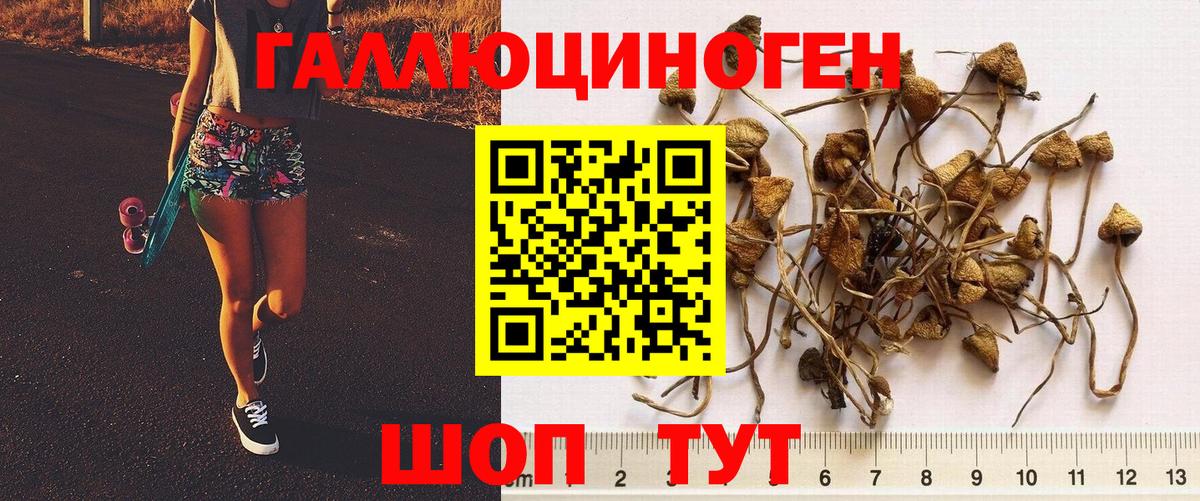 Ишимбай  Псилоцибиновые грибы ЛСД  Галлюциногенные грибы Magic Shrooms  Вход с VPN 